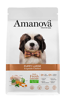 Amanova Puppy Large
